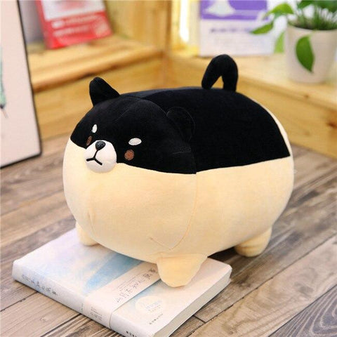 Peluche Chat Gros Yeux - Poisson Bulle